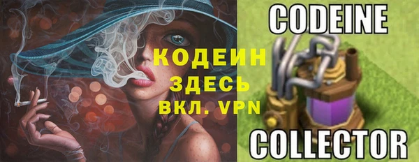 прущие грибы Аркадак