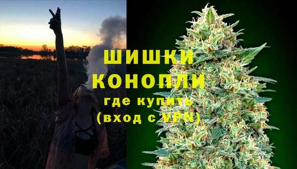 ПСИЛОЦИБИНОВЫЕ ГРИБЫ Армянск