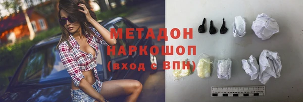 прущие грибы Аркадак