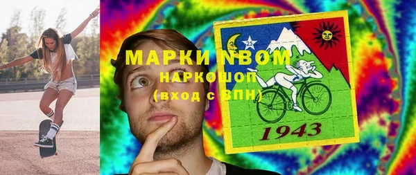прущие грибы Аркадак