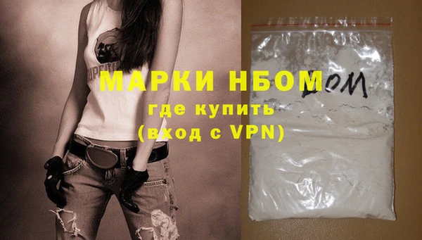 прущие грибы Аркадак