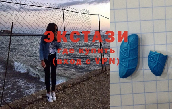 прущие грибы Аркадак