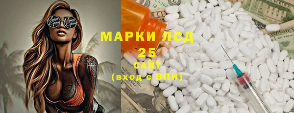 прущие грибы Аркадак