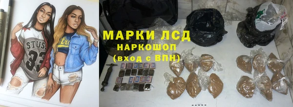прущие грибы Аркадак
