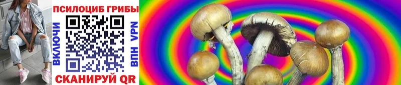 Псилоцибиновые грибы Magic Shrooms  магазин продажи   Тобольск 